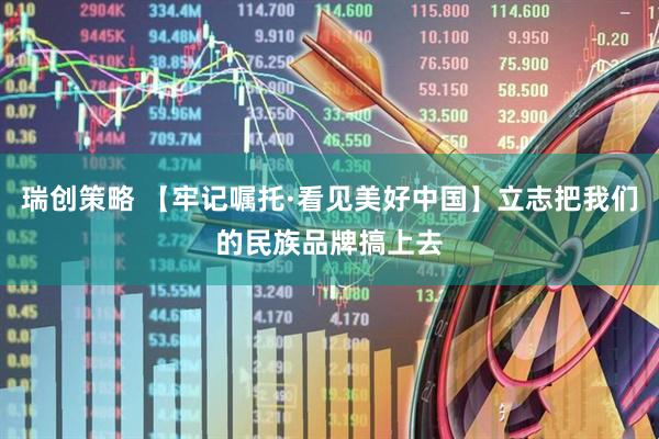 瑞创策略 【牢记嘱托·看见美好中国】立志把我们的民族品牌搞上去